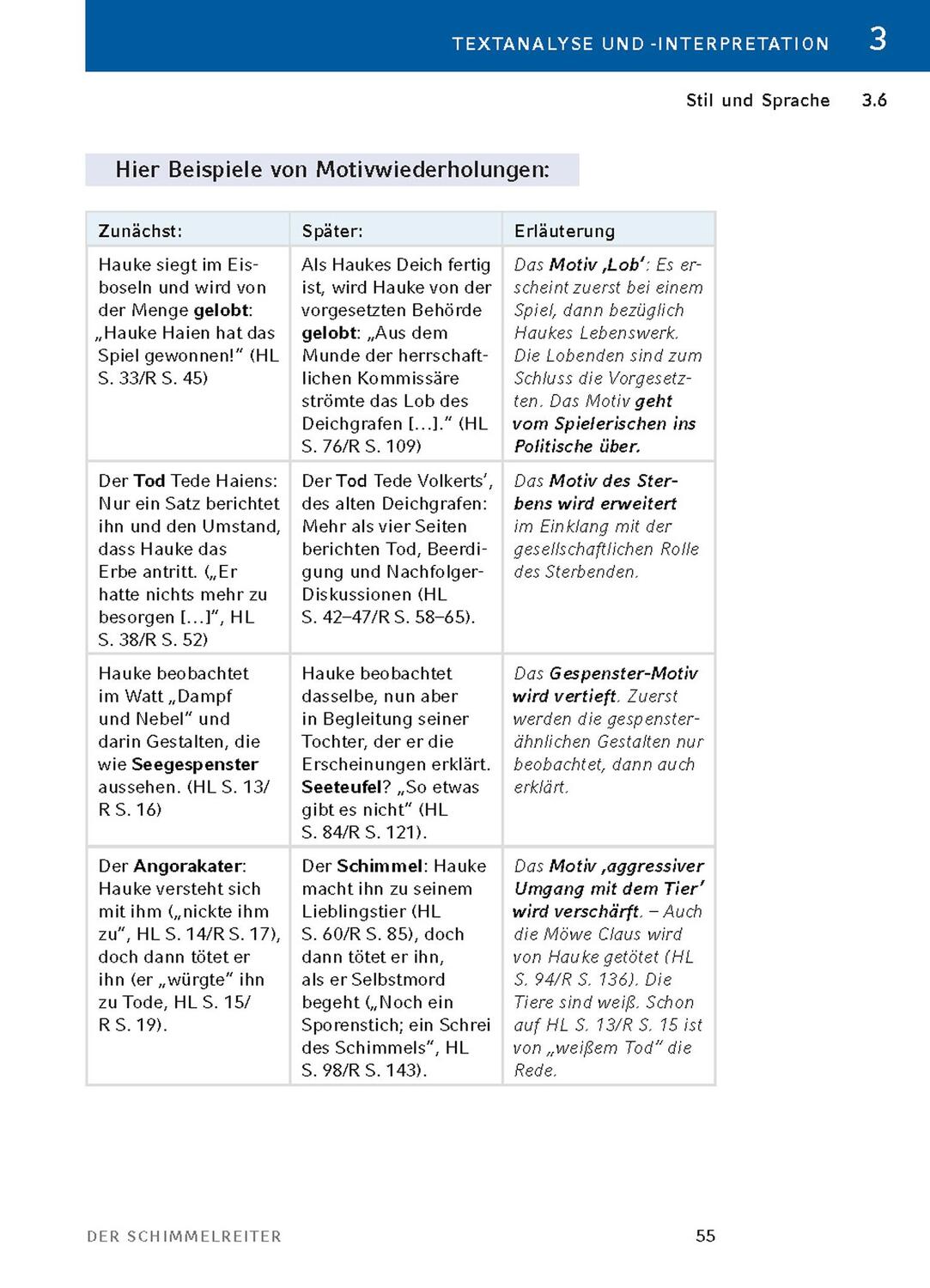 Bild: 9783804420960 | Der Schimmelreiter von Theodor Storm. | Theodor Storm | Taschenbuch