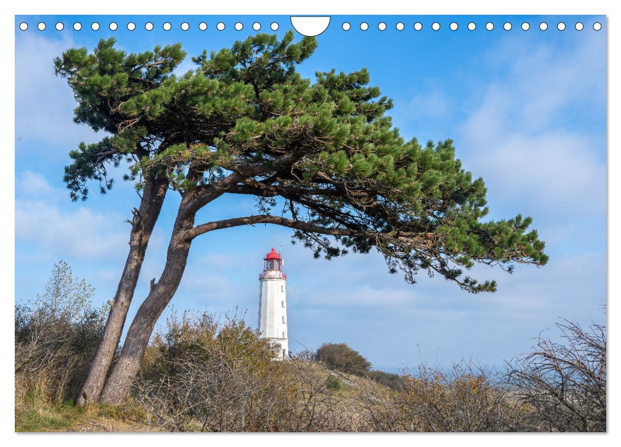 Bild: 9783383848155 | Inseelfeeling - Hiddensee (Wandkalender 2025 DIN A4 quer), CALVENDO...