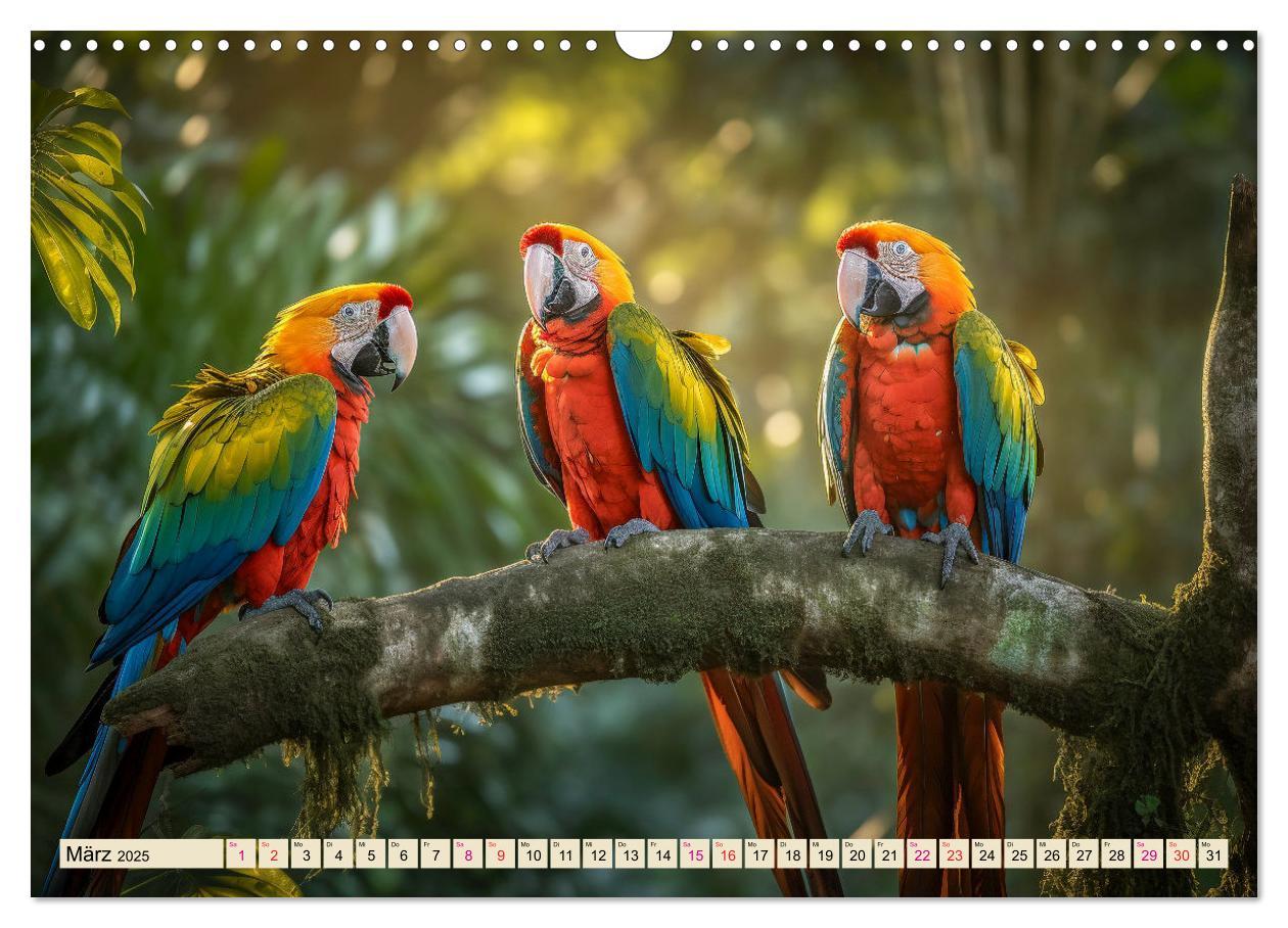 Bild: 9783383906381 | Papageien - Ara (Wandkalender 2025 DIN A3 quer), CALVENDO...