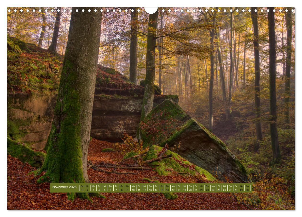 Bild: 9783383939327 | Magischer Pfälzer Wald (Wandkalender 2025 DIN A3 quer), CALVENDO...