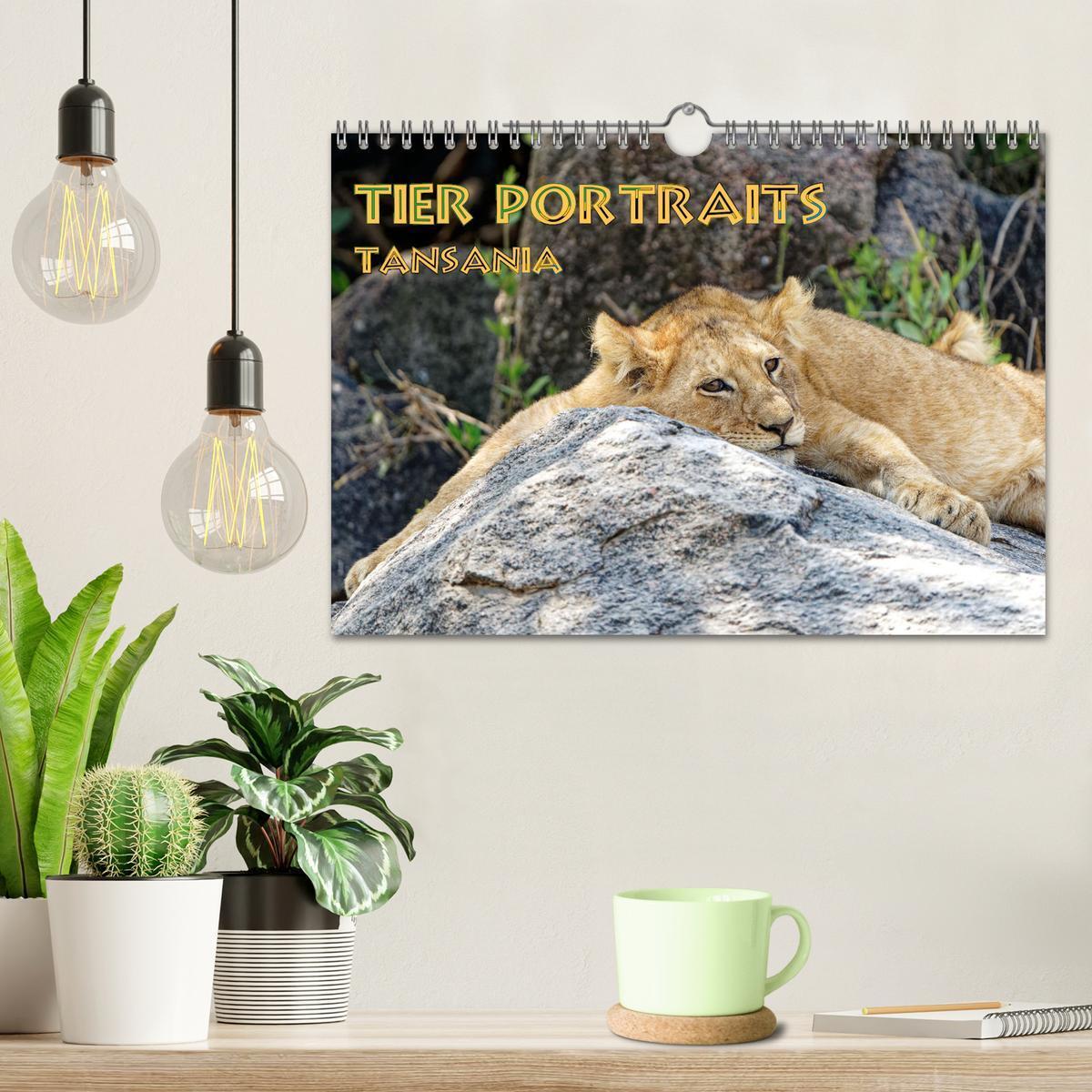 Bild: 9783457187586 | Tier Portraits Tansania (Wandkalender 2025 DIN A4 quer), CALVENDO...