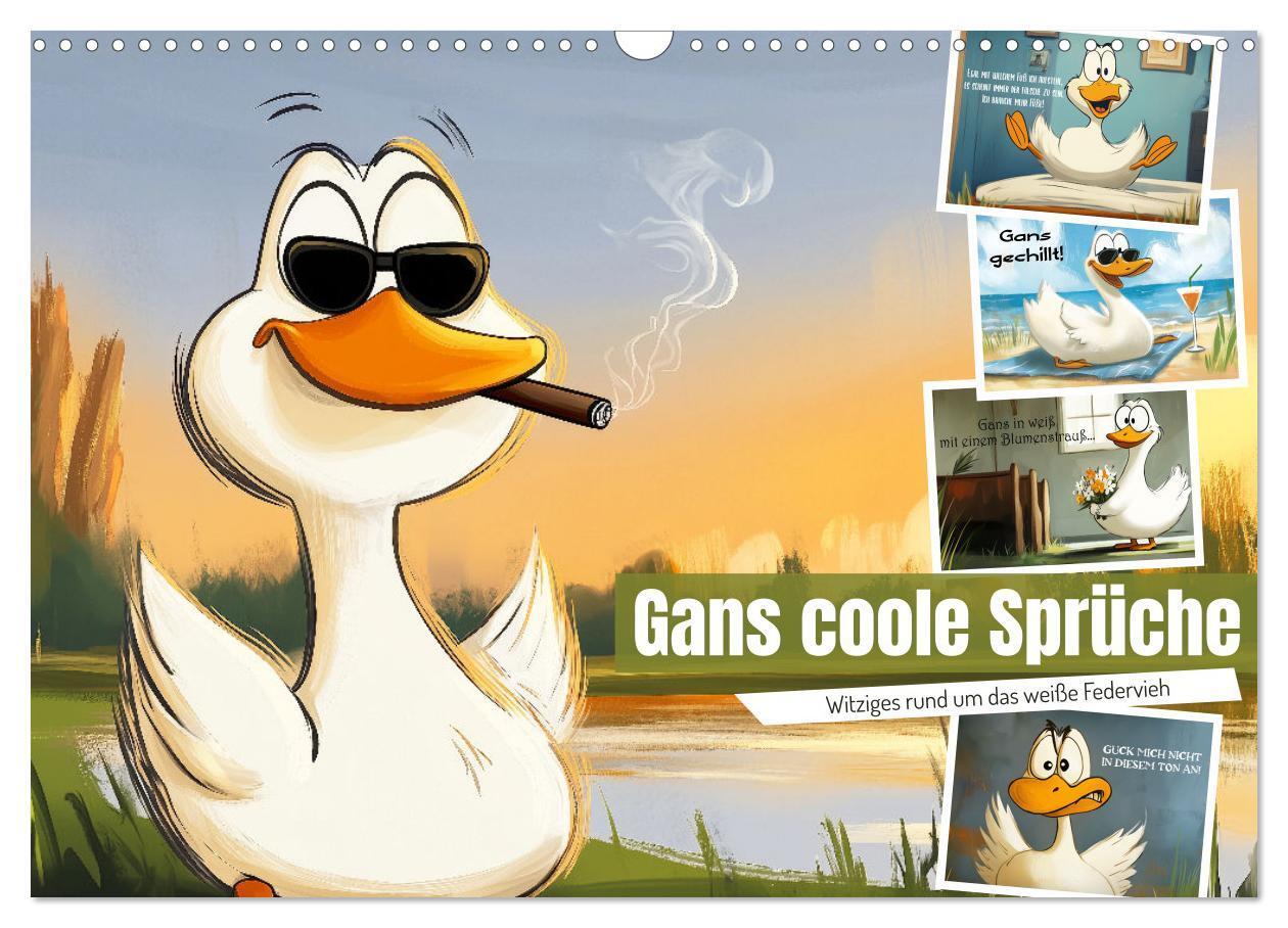 Cover: 9783457190029 | Gans coole Sprüche (Wandkalender 2025 DIN A3 quer), CALVENDO...