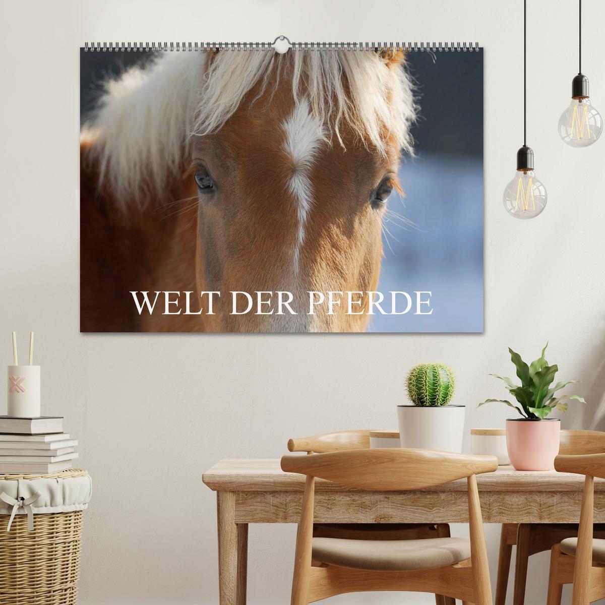 Bild: 9783435711819 | Welt der Pferde (Wandkalender 2025 DIN A2 quer), CALVENDO...