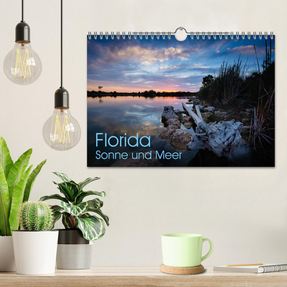 Bild: 9783435602612 | Florida. Sonne und Meer (Wandkalender 2025 DIN A4 quer), CALVENDO...