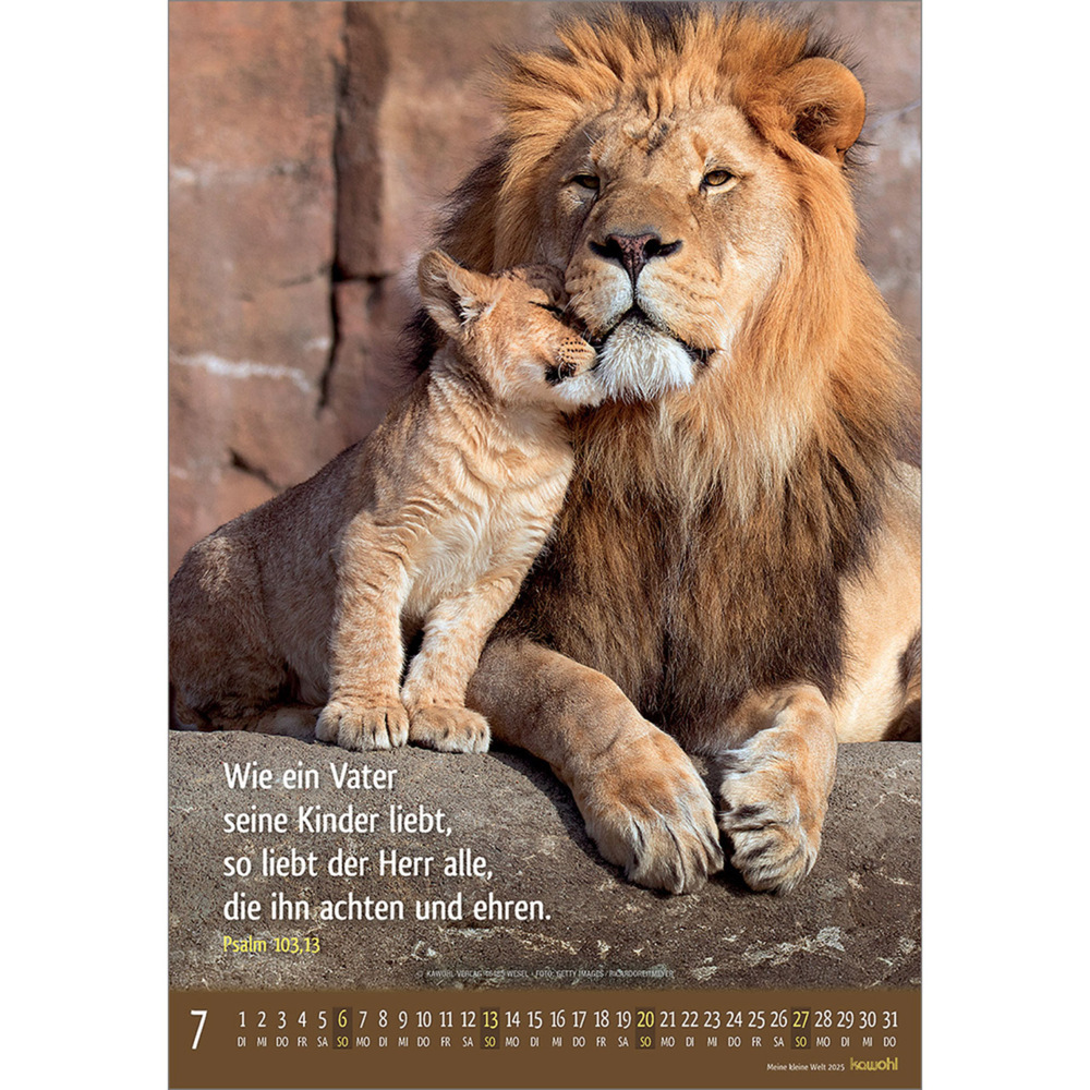 Bild: 9783754845059 | Meine kleine Welt 2025 | Tierkalender mit Bibelworten | Kalender