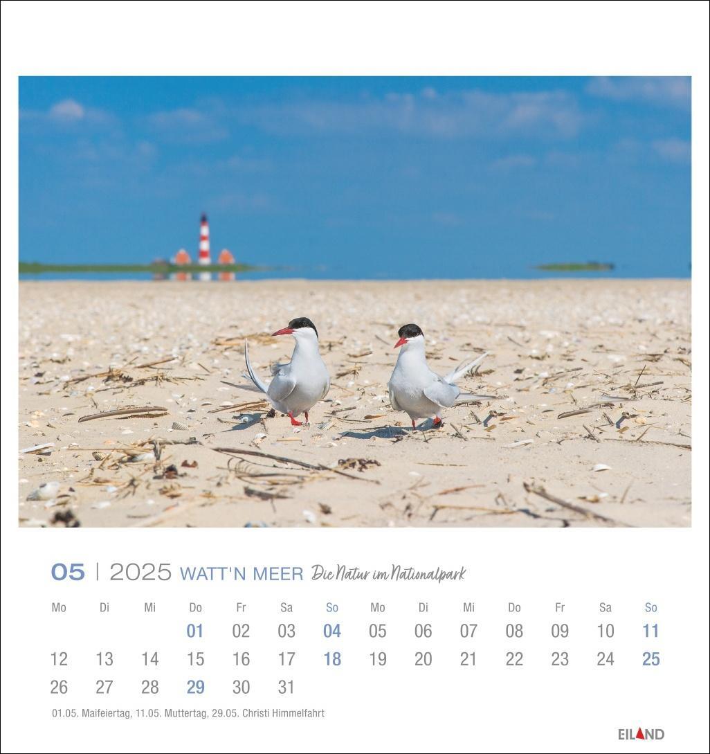 Bild: 9783964023285 | Watt'n Meer Postkartenkalender 2025 - Die Natur im Nationalpark | 2025