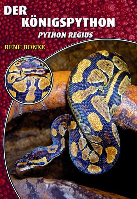 Cover: 9783866591189 | Königspython | Python regius | René Bonke | Taschenbuch | Art für Art