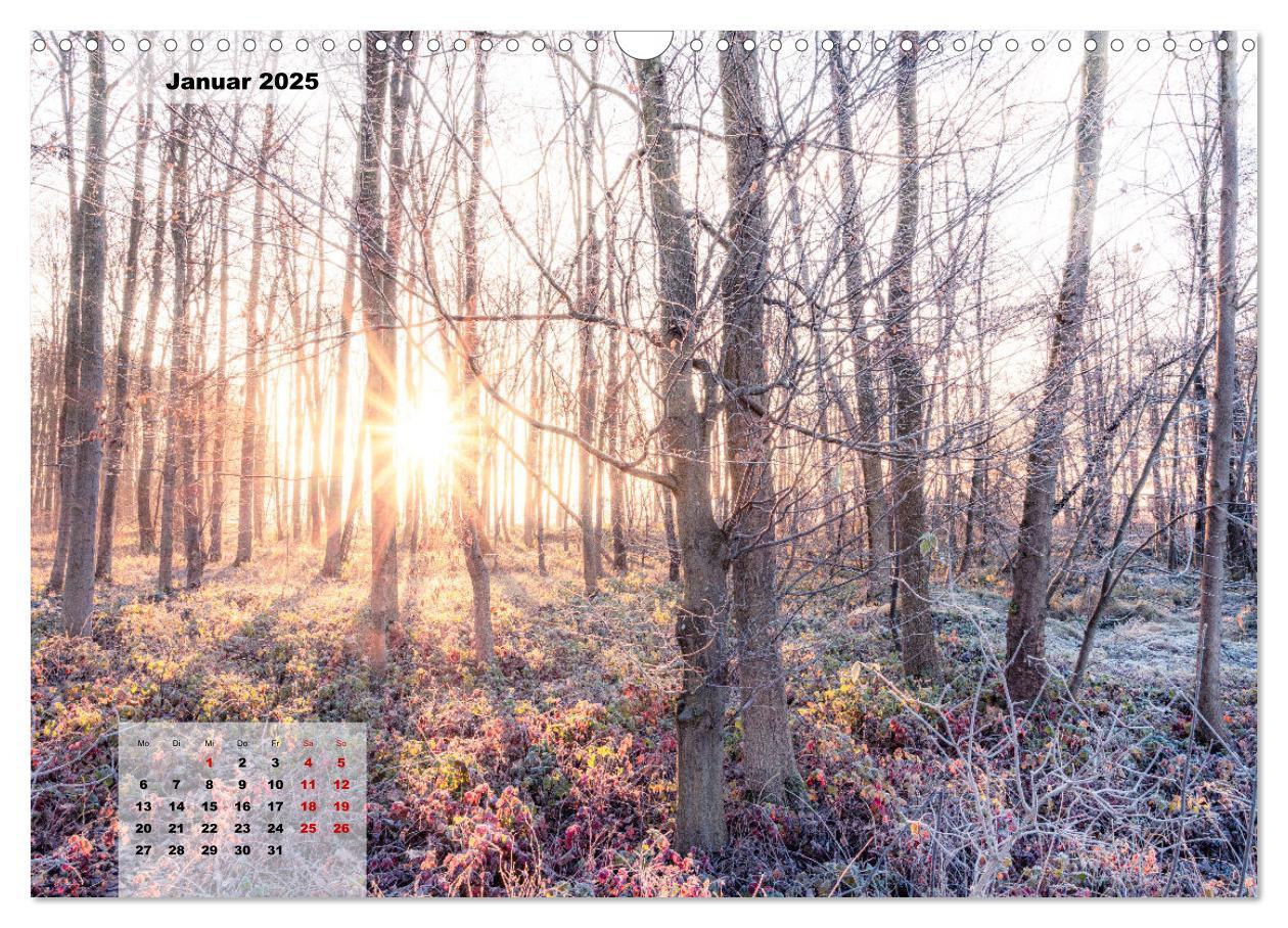 Bild: 9783383866937 | Ein Jahr Niederrhein Momente der Natur (Wandkalender 2025 DIN A3...