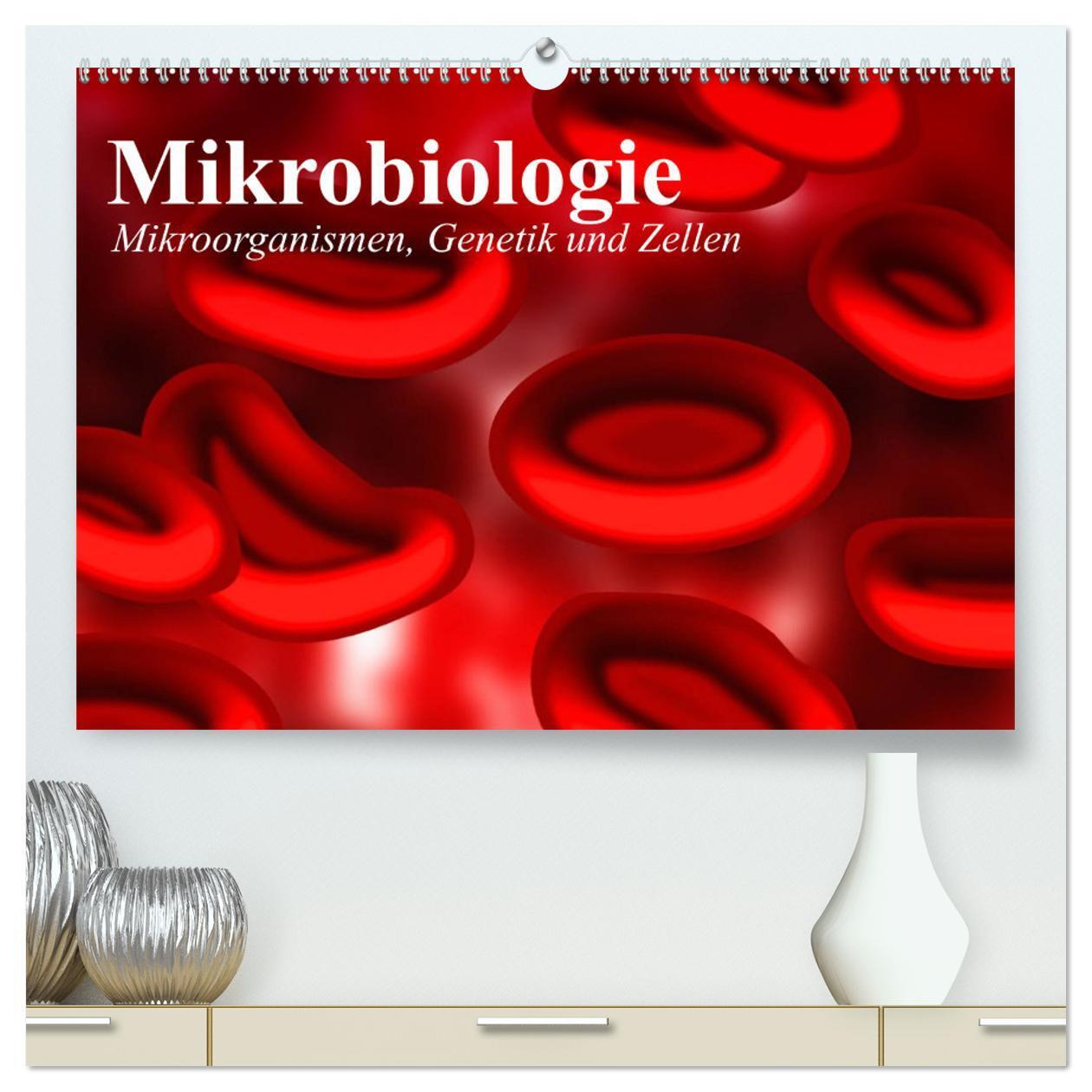 Cover: 9783435474097 | Mikrobiologie. Mikroorganismen, Genetik und Zellen (hochwertiger...