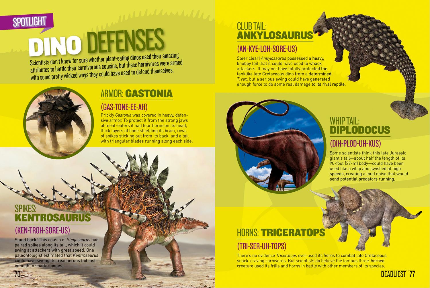 Bild: 9781426327940 | Dino Records | National Geographic Kids | Taschenbuch | Englisch