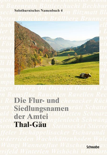 Cover: 9783796536960 | Die Flur- und Siedlungsnamen der Amtei | Thal-Gäu | Buch | XII | 2017