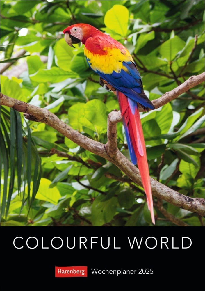 Cover: 9783840035135 | Colourful World Wochenplaner 2025 | Kalender | Spiralbindung | 54 S.