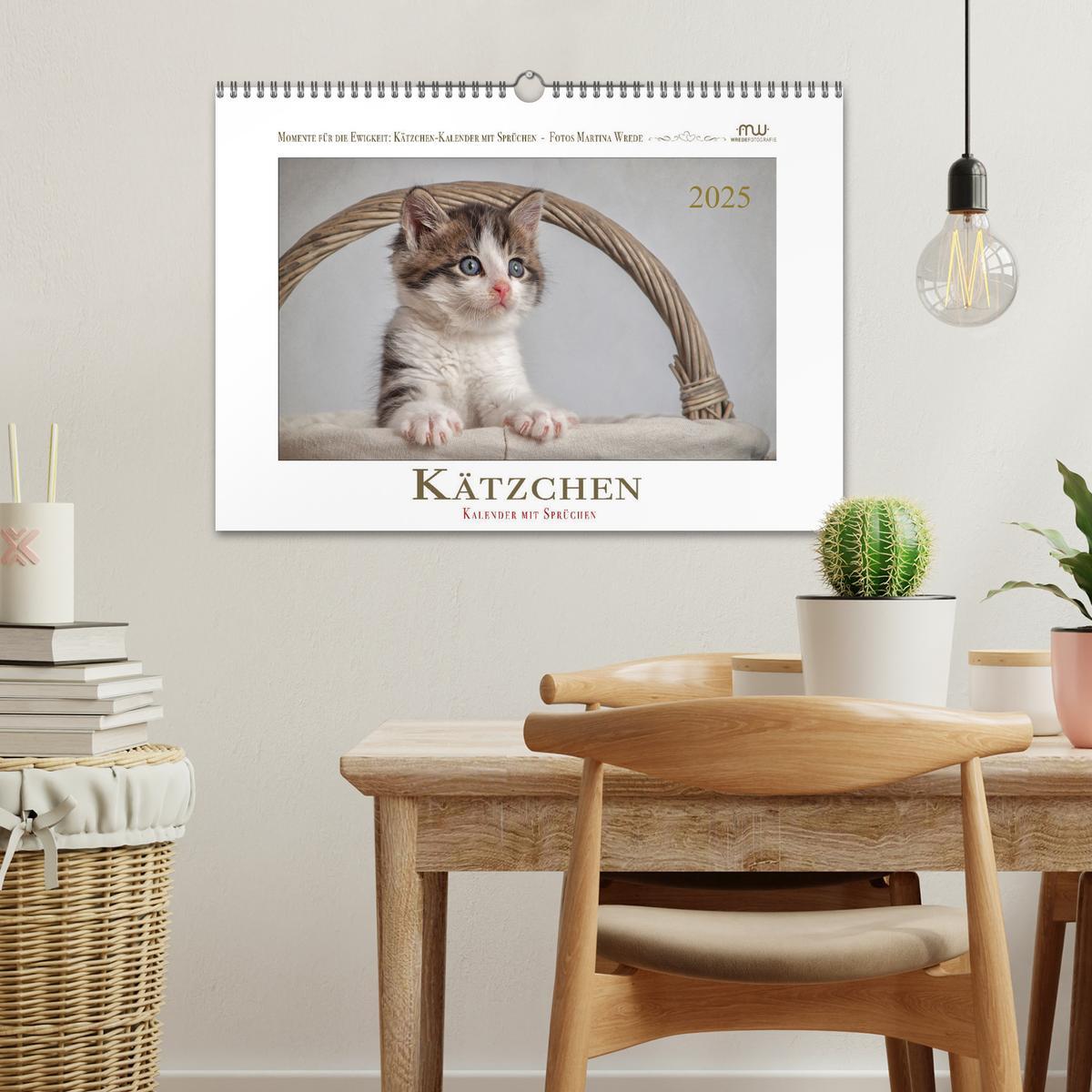 Bild: 9783435086481 | Kätzchen-Kalender mit Sprüchen (Wandkalender 2025 DIN A3 quer),...