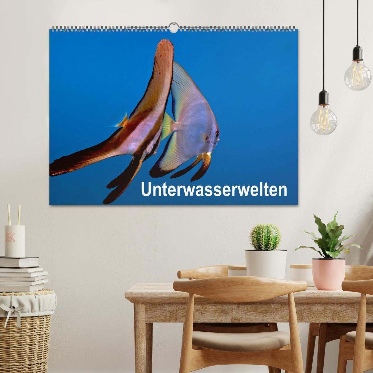 Bild: 9783435770977 | Unterwasserwelten (Wandkalender 2025 DIN A2 quer), CALVENDO...