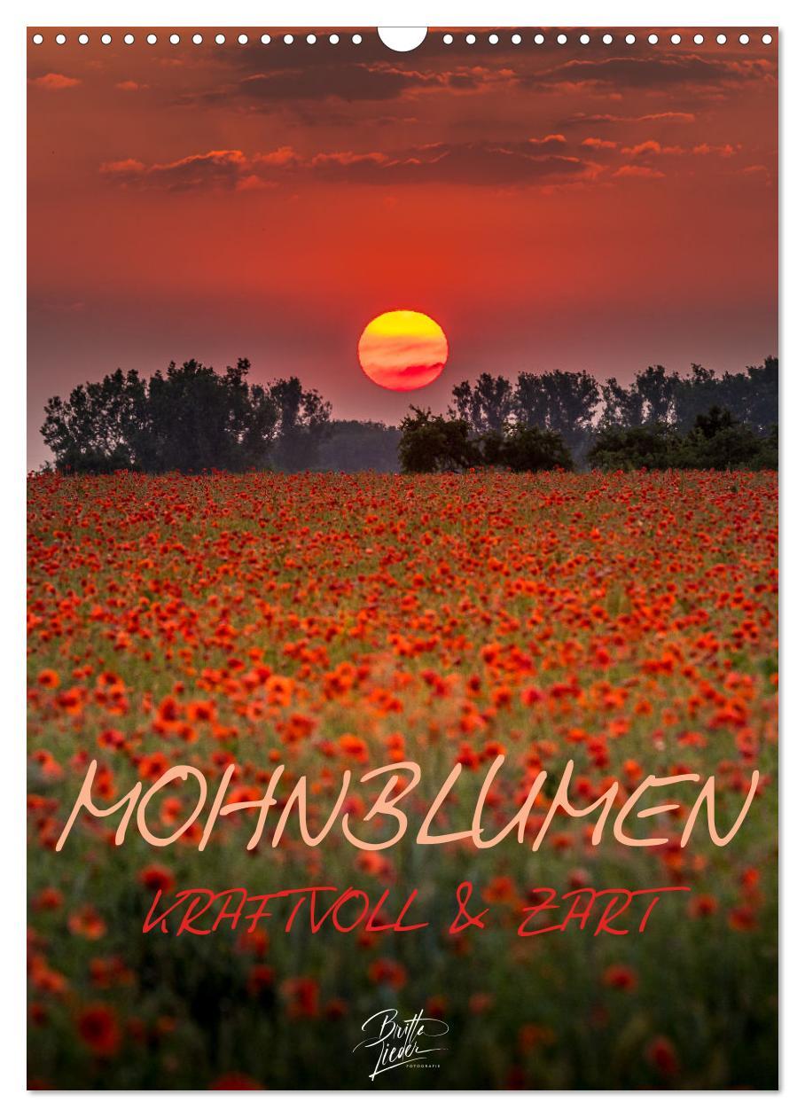 Cover: 9783435920167 | Mohnblumen - kraftvoll und zart (Wandkalender 2025 DIN A3 hoch),...