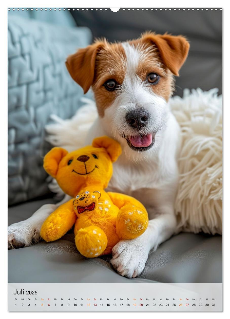 Bild: 9783383778827 | Jack Russel Terrier - furchtlos und viel Selbstvertrauen...