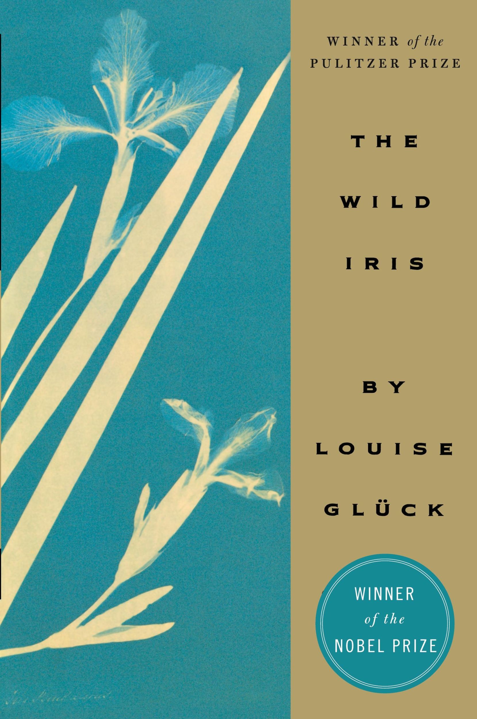 Cover: 9780880013345 | Wild Iris, The | Louise Gluck | Taschenbuch | 64 S. | Englisch | 2023