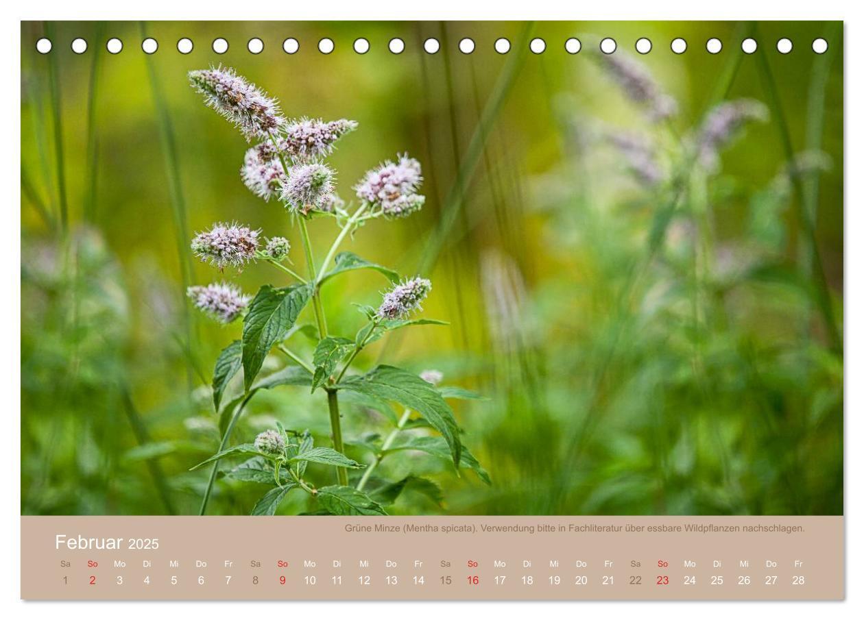 Bild: 9783435661688 | WILD, ESSBAR UND GESUND Essbare Wildpflanzen (Tischkalender 2025...