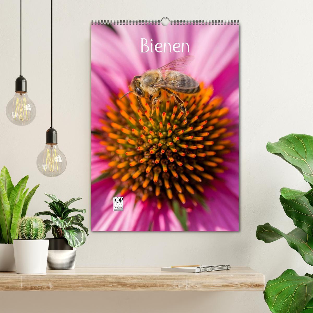 Bild: 9783457052204 | Bienenkalender (Wandkalender 2025 DIN A2 hoch), CALVENDO...