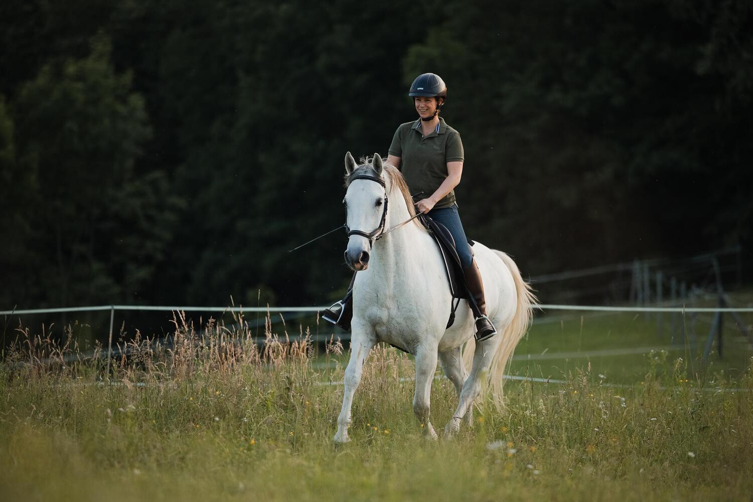 Bild: 9783275023011 | Einfach (An)Reiten | Anreiten und Training selbst in die Hand nehmen