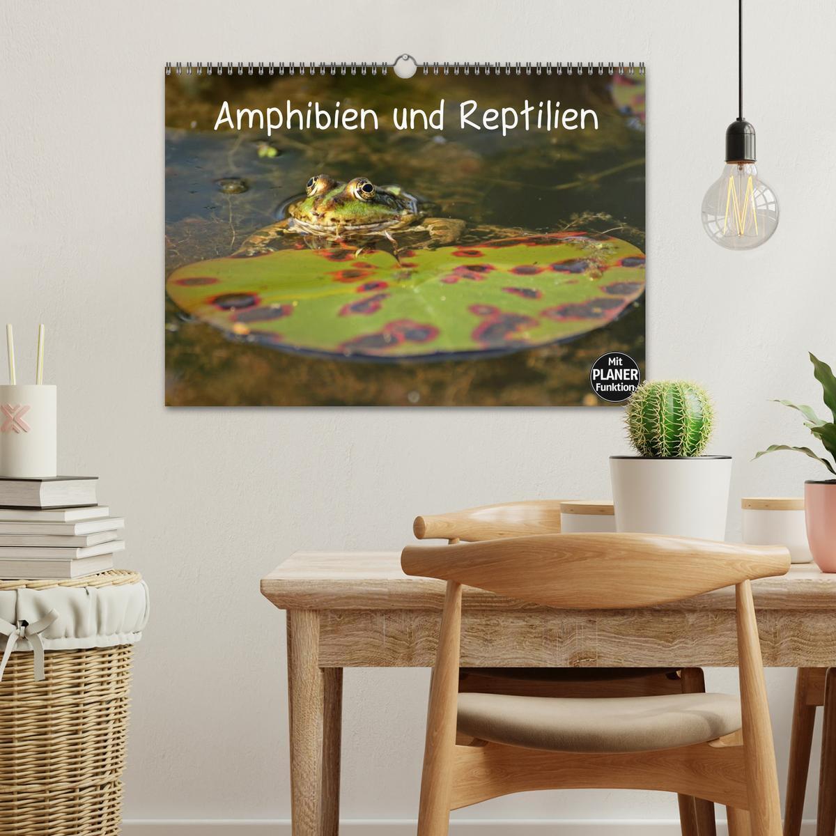 Bild: 9783435542659 | Amphibien und Reptilien (Wandkalender 2025 DIN A3 quer), CALVENDO...