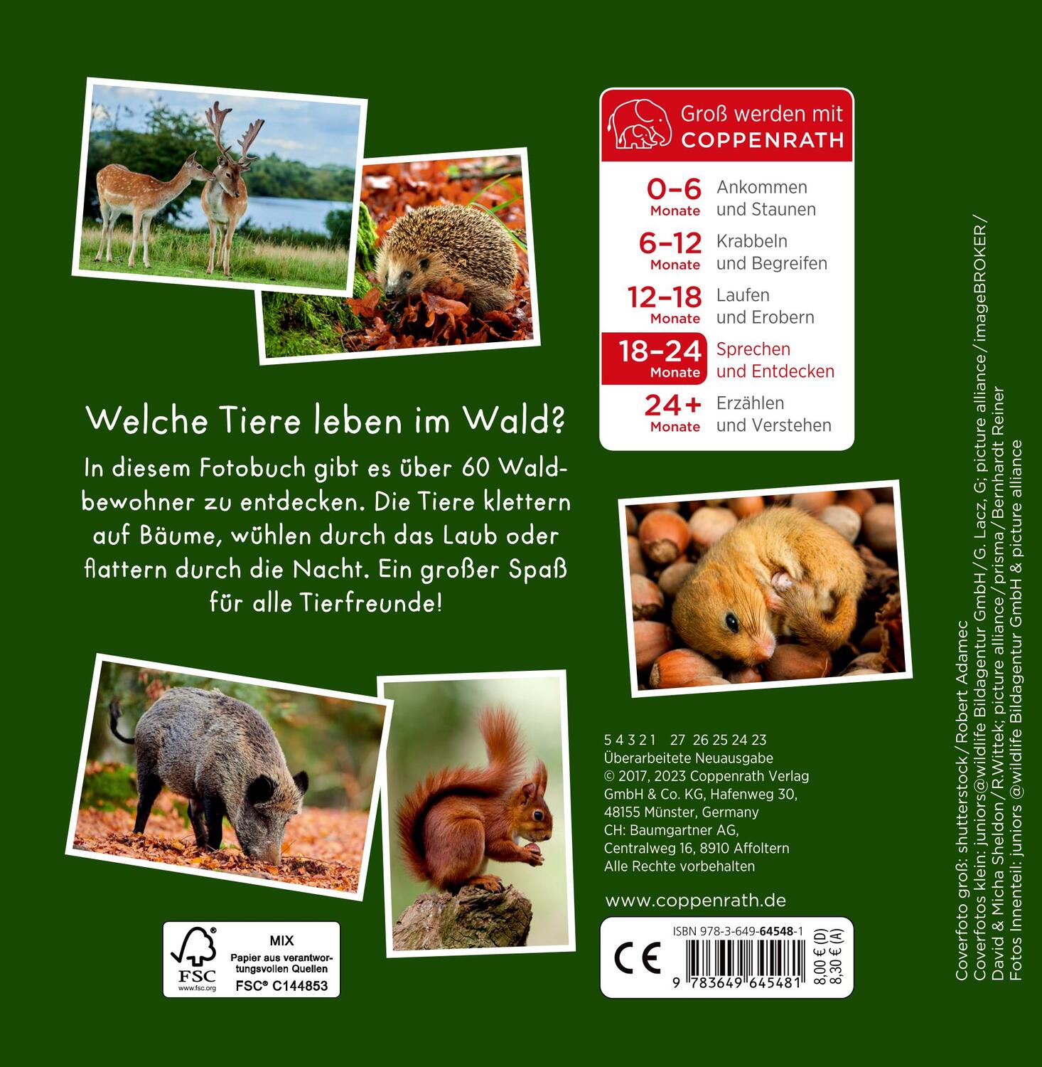 Rückseite: 9783649645481 | Meine liebsten Tiere im Wald | Buch | 28 S. | Deutsch | 2023