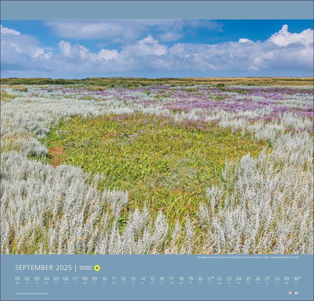 Bild: 9783964023124 | Nationalpark Wattenmeer Edition Kalender 2025 - Martin Stock | Stock