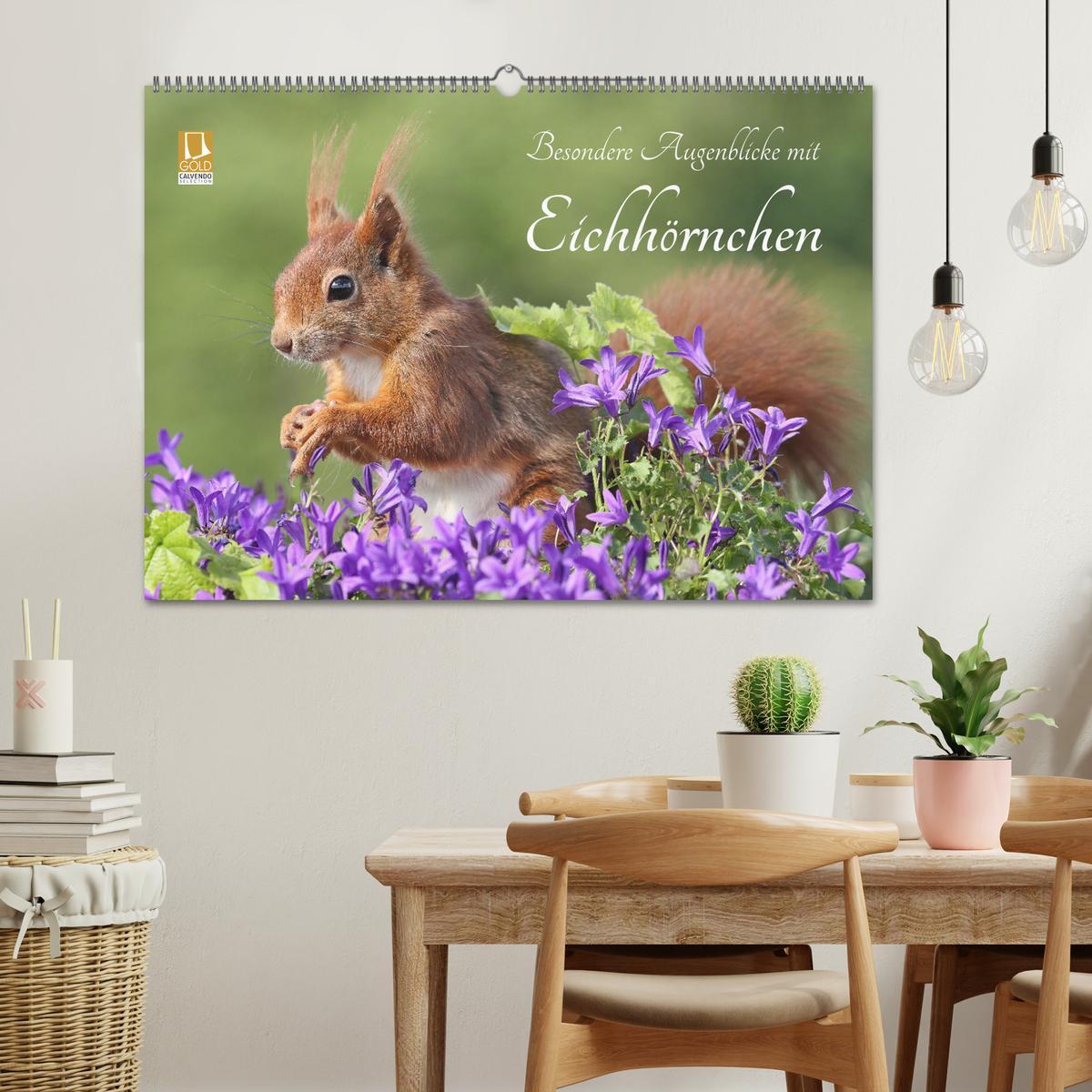 Bild: 9783435566006 | Besondere Augenblicke mit Eichhörnchen (Wandkalender 2025 DIN A2...