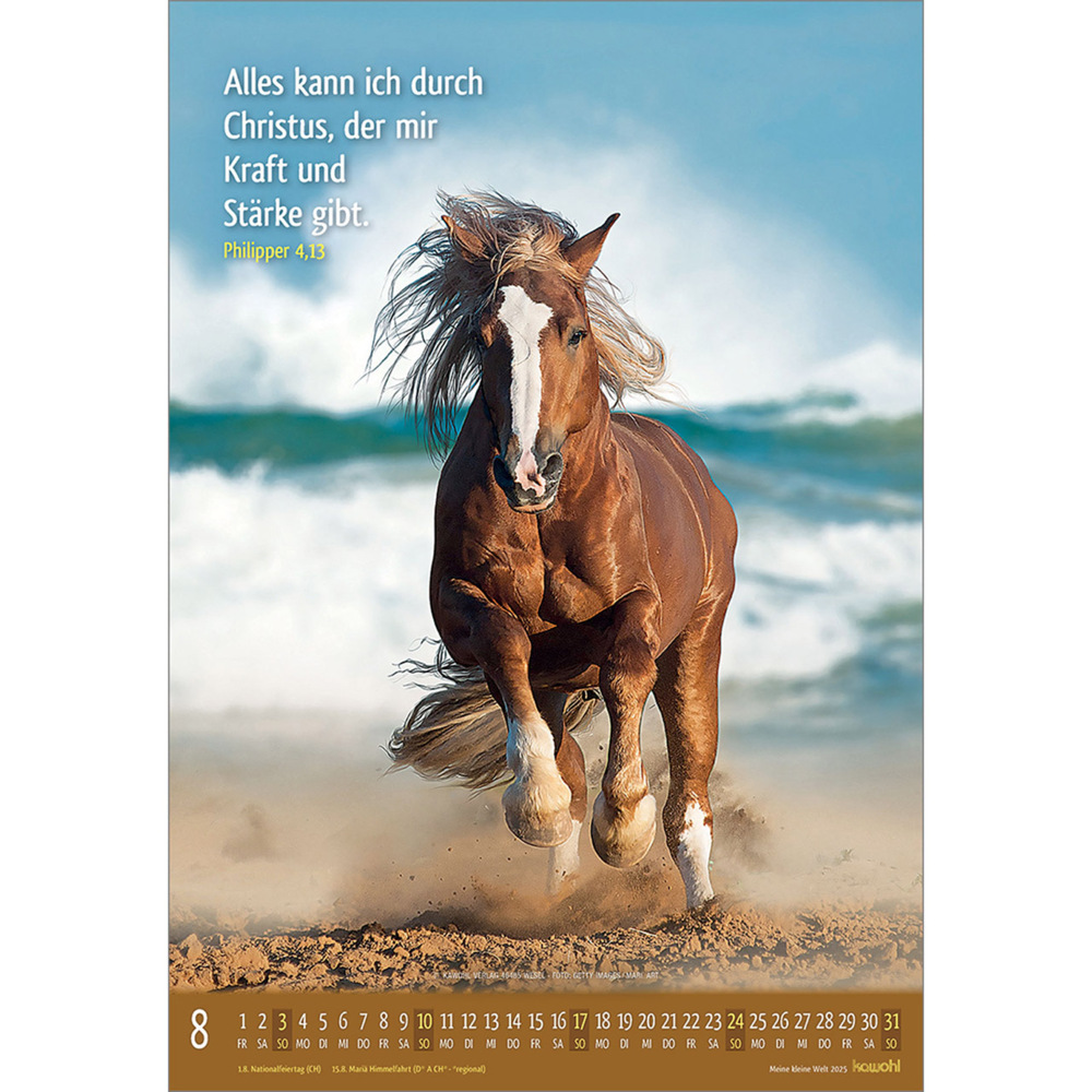 Bild: 9783754845059 | Meine kleine Welt 2025 | Tierkalender mit Bibelworten | Kalender