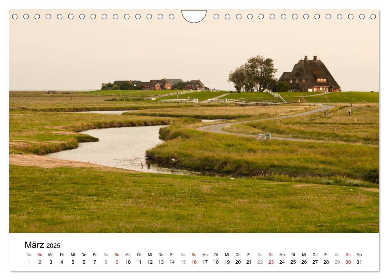 Bild: 9783435570386 | Hallig Hooge - zwischen Himmel und Erde (Wandkalender 2025 DIN A4...