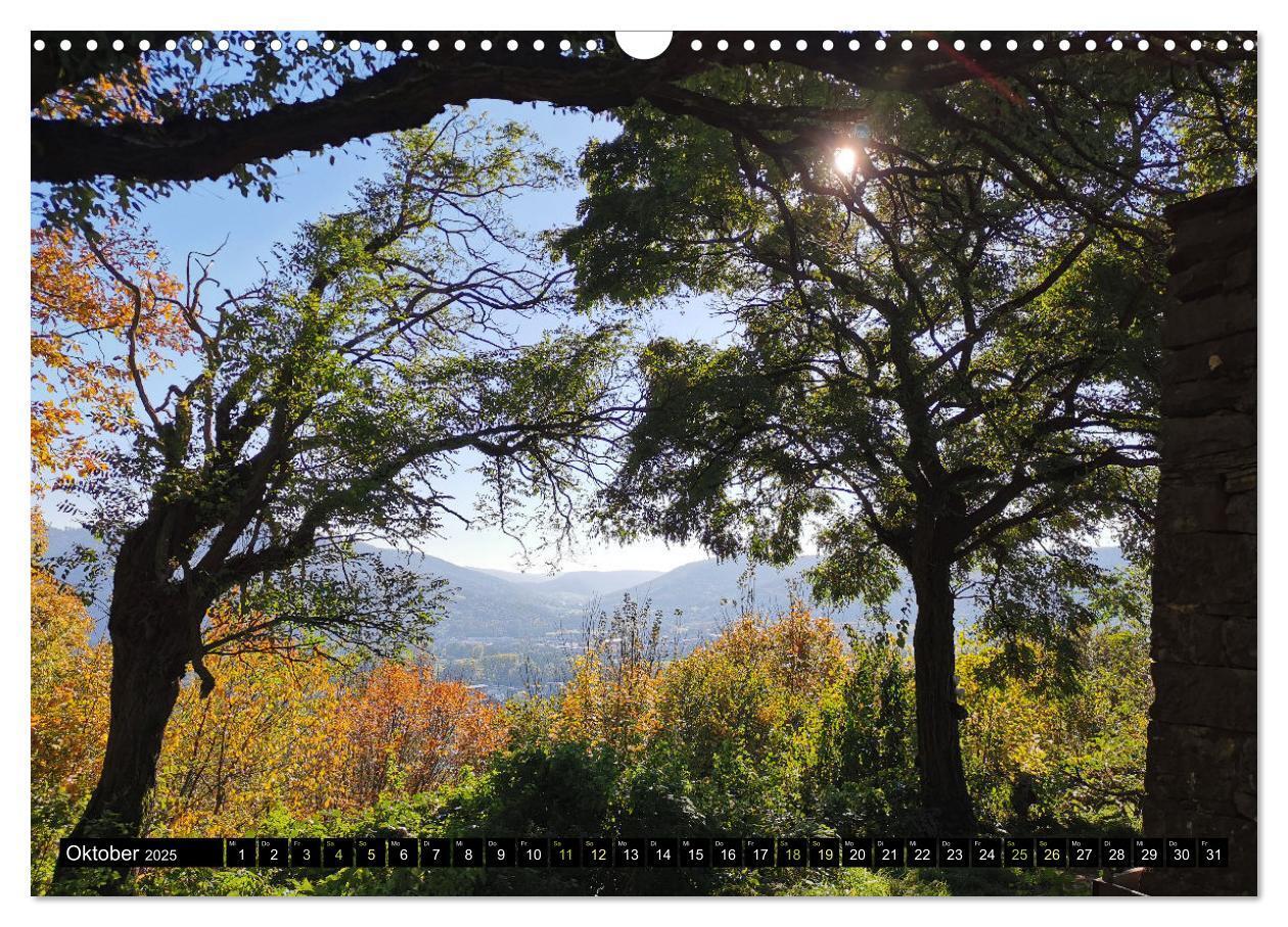 Bild: 9783383995781 | Wanderbares Miltenberg (Wandkalender 2025 DIN A3 quer), CALVENDO...