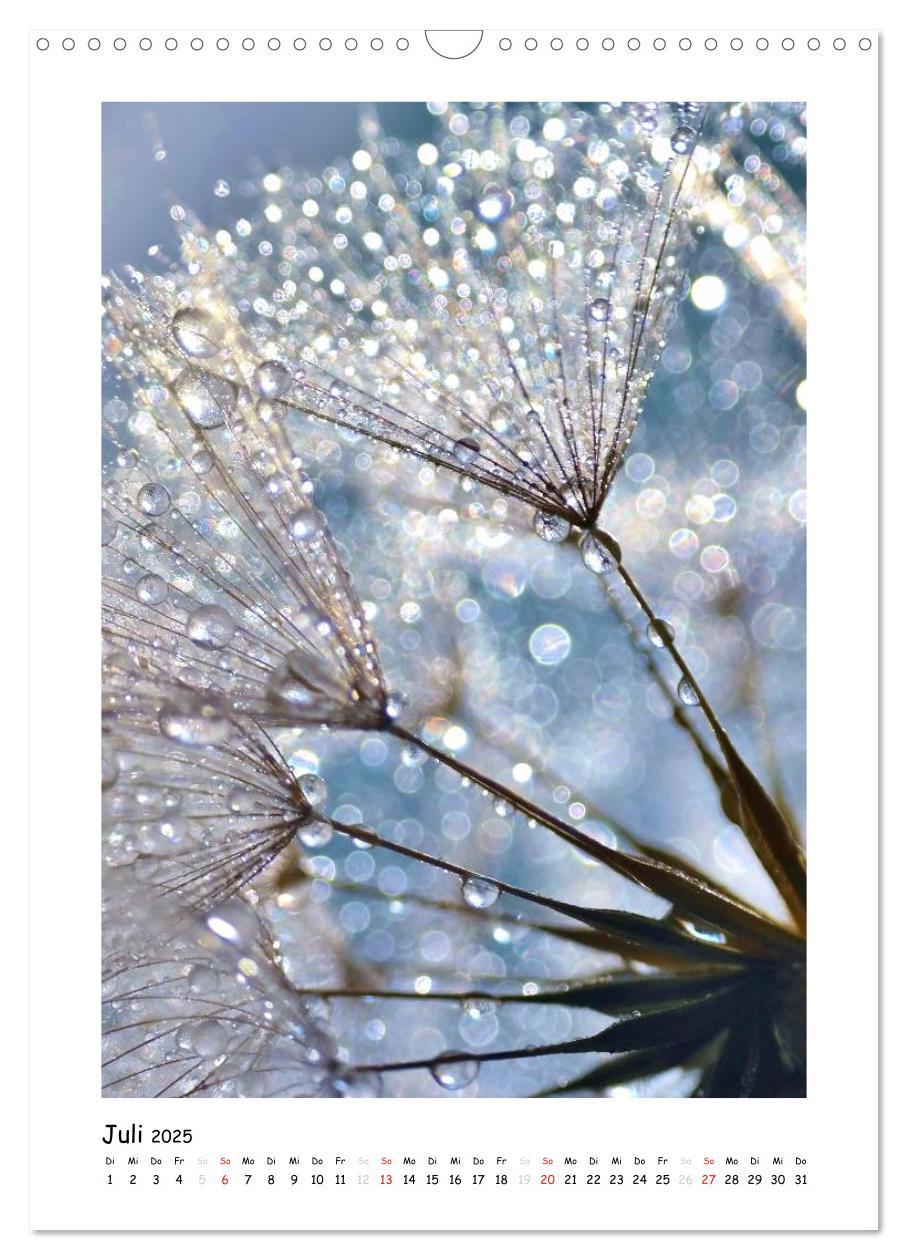 Bild: 9783457054536 | Die Pusteblume neu erleben (Wandkalender 2025 DIN A3 hoch),...