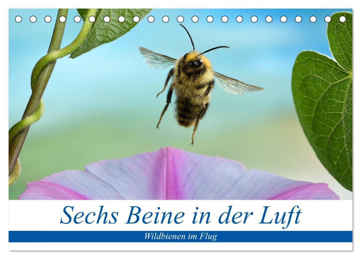 Cover: 9783435219681 | Sechs Beine in der Luft - Wildbienen im Flug (Tischkalender 2025...