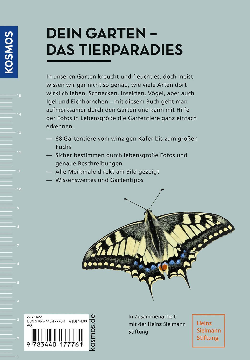 Bild: 9783440177761 | Gartentiere lebensgroß | Hannes Petrischak | Taschenbuch | 112 S.