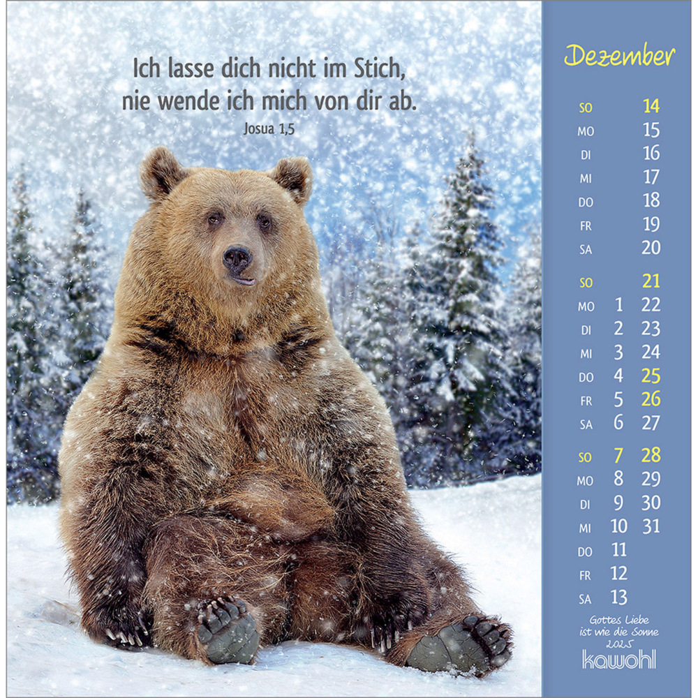 Bild: 9783754848050 | Gottes Liebe ist wie die Sonne 2025 | Tierkalender mit Bibelworten