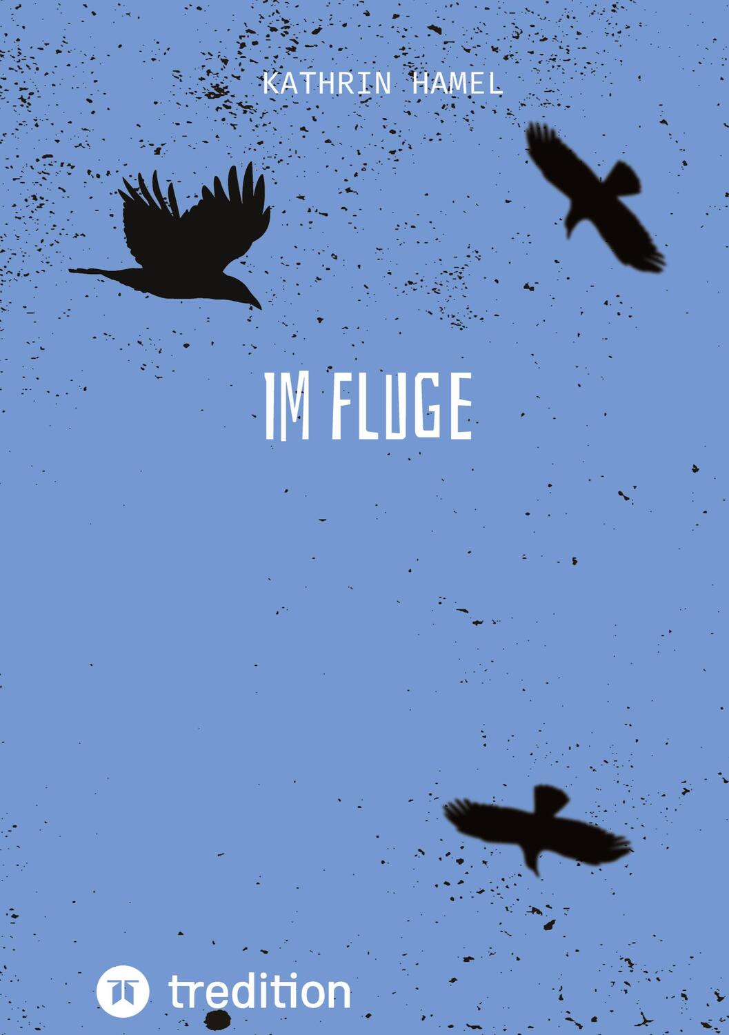 Cover: 9783347461109 | Im Fluge | DE | Kathrin Hamel | Buch | tredition | EAN 9783347461109