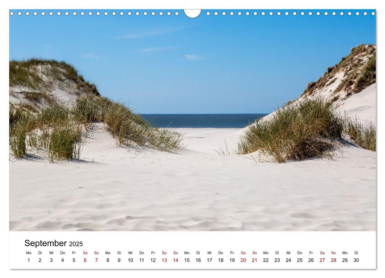 Bild: 9783383895906 | Amrum - Das Paradies in der Nordsee (Wandkalender 2025 DIN A3...