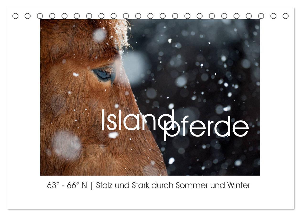 Cover: 9783435524723 | Islandpferde - Stolz und Stark durch Sommer und Winter...