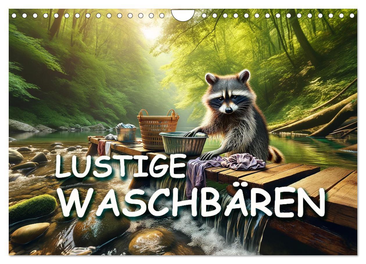 Cover: 9783383775345 | Lustige Waschbären (Wandkalender 2025 DIN A4 quer), CALVENDO...