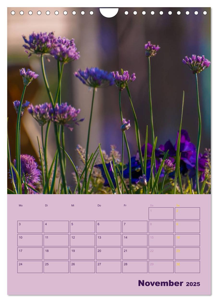 Bild: 9783457055540 | Wald- und Wiesenkalender 2025 Planer (Wandkalender 2025 DIN A4...