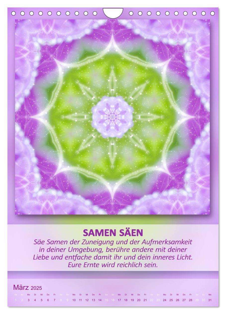 Bild: 9783457060971 | Light Energy Mandalas - Kalender - Vol. 2 (Wandkalender 2025 DIN A4...