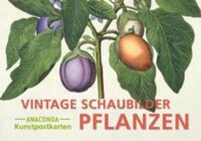 Cover: 9783730614464 | Postkarten-Set Vintage-Schaubilder Pflanzen | Anaconda Verlag | Buch