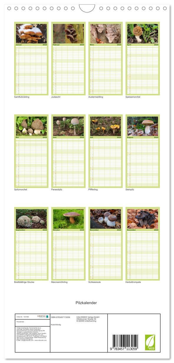 Bild: 9783457113059 | Familienplaner 2025 - Pilzkalender mit 5 Spalten (Wandkalender, 21...