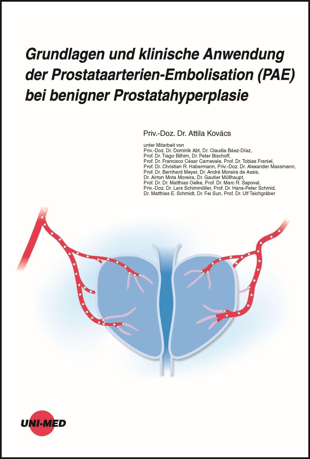 Cover: 9783837424355 | Grundlagen und klinische Anwendung der...