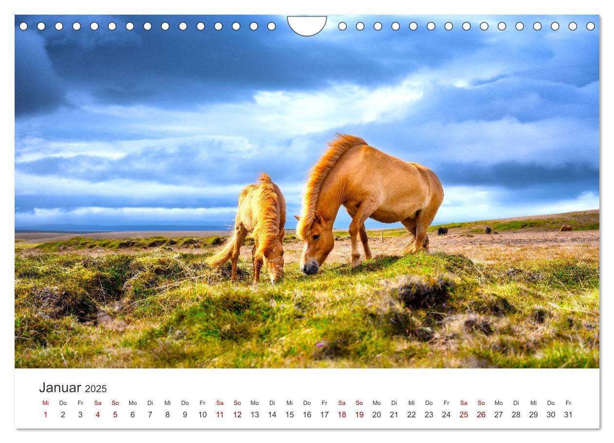 Bild: 9783383927973 | Freiheitsliebende Wildpferde (Wandkalender 2025 DIN A4 quer),...