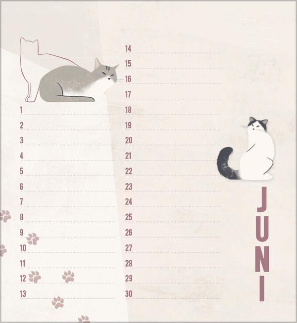 Bild: 9783731880509 | Geburtstagskalender Cats | Verlag Korsch | Kalender | 13 S. | Deutsch