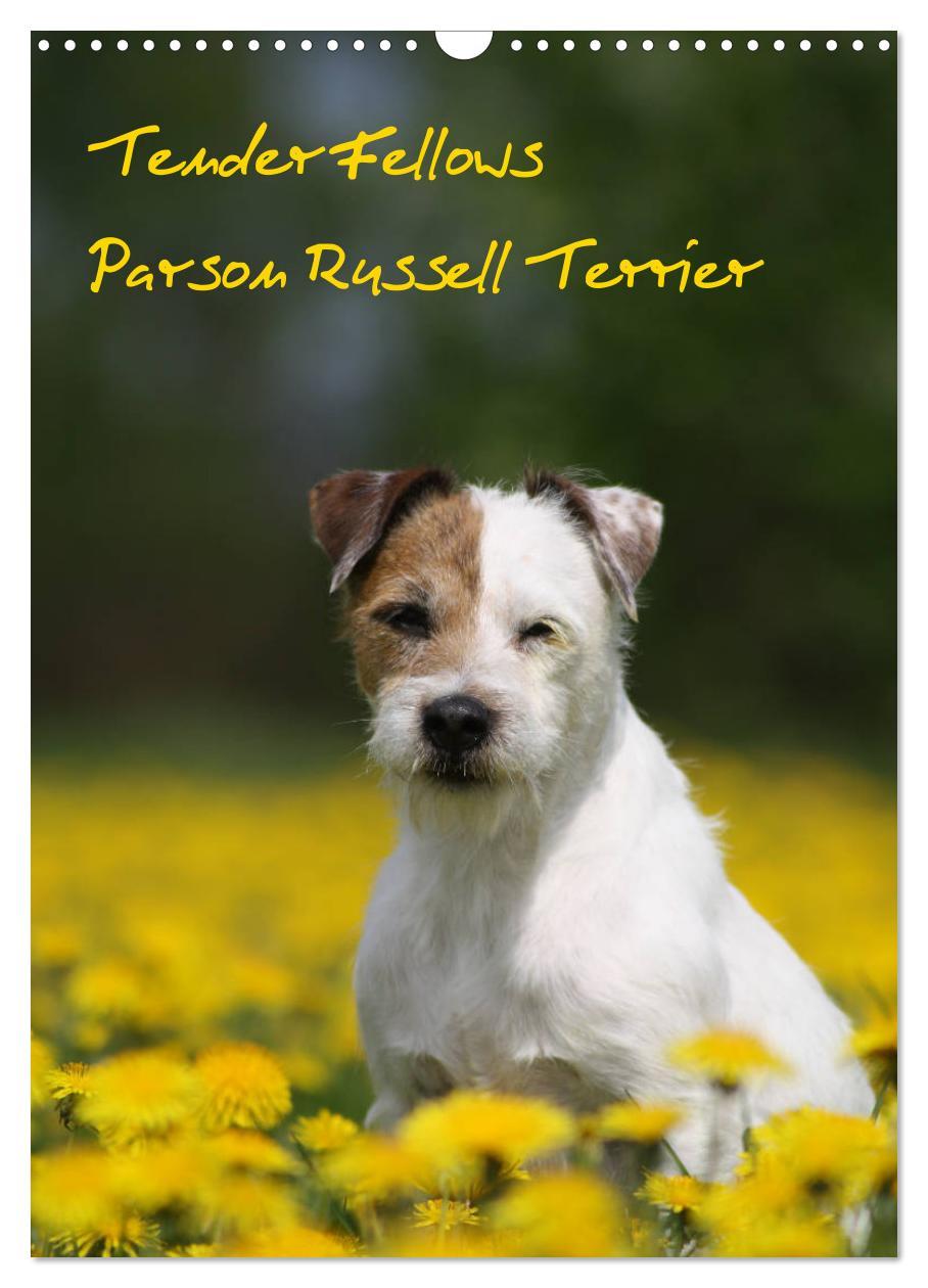 Cover: 9783435995592 | Tender Fellows - Parson Russell Terrier (Wandkalender 2025 DIN A3...