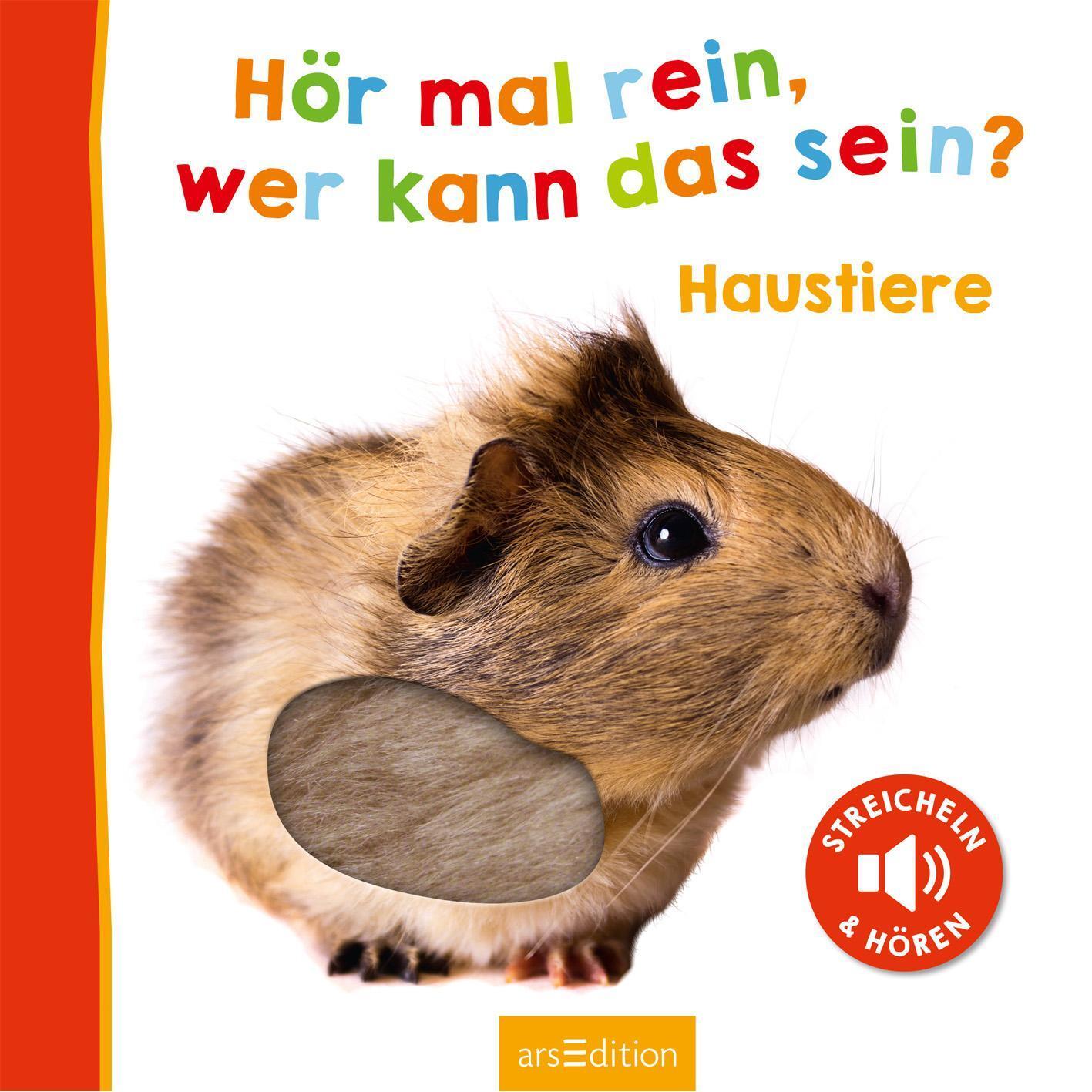 Bild: 9783845829401 | Hör mal rein, wer kann das sein? Haustiere | Buch | 12 S. | Deutsch