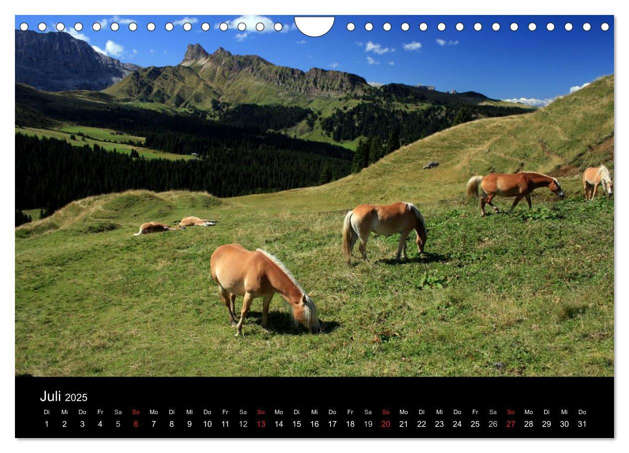 Bild: 9783435474233 | Alpe di Siusi - Seiser Alm (Wandkalender 2025 DIN A4 quer),...