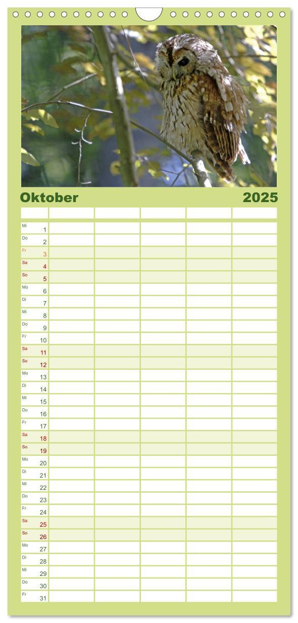 Bild: 9783457119211 | Familienplaner 2025 - Eulen mit 5 Spalten (Wandkalender, 21 x 45...